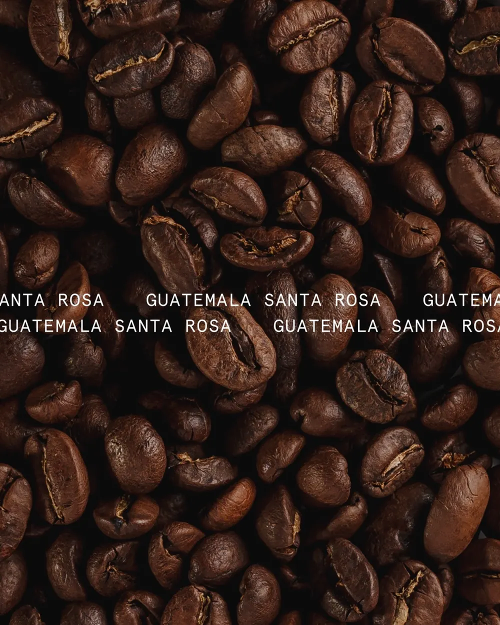 Guatemala Santa Rosa coffee beans